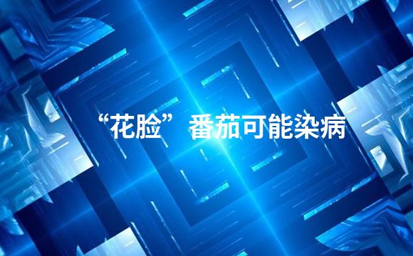 “花脸”番茄可能染病