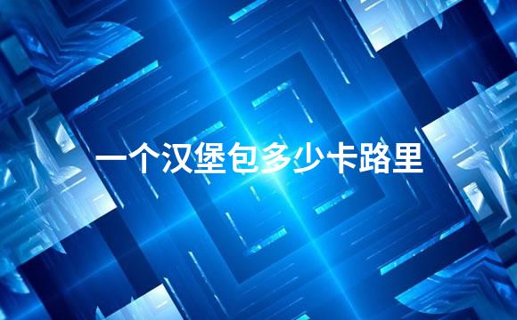 一个汉堡包多少卡路里