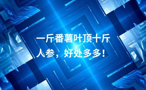 一斤番薯叶顶十斤人参，好处多多！