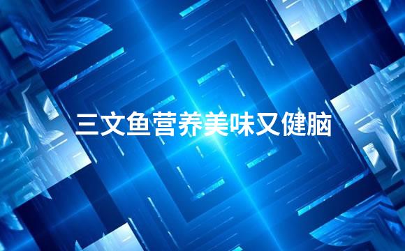 三文鱼营养美味又健脑