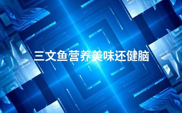 三文鱼营养美味还健脑