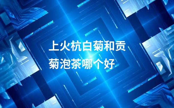 上火杭白菊和贡菊泡茶哪个好
