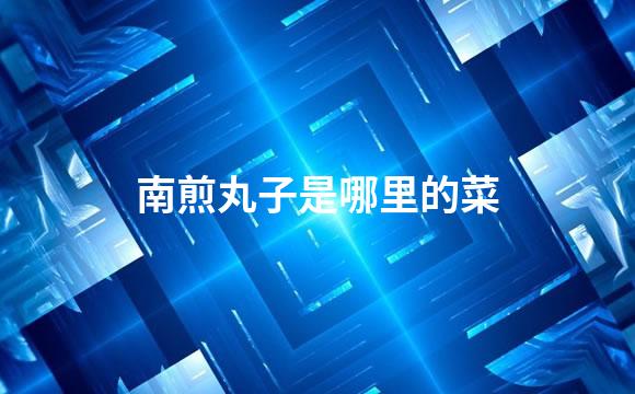 南煎丸子是哪里的菜
