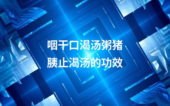 咽干口渴汤粥猪胰止渴汤的功效