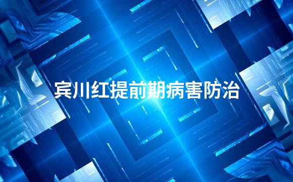 宾川红提前期病害防治