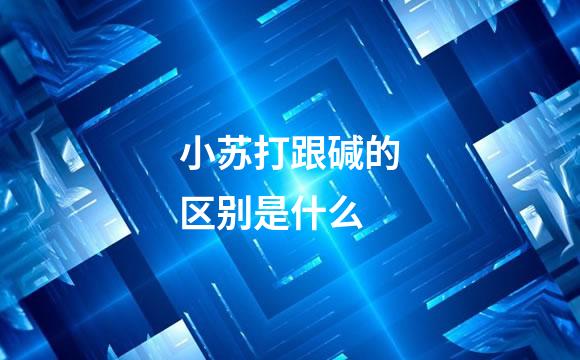小苏打跟碱的区别是什么