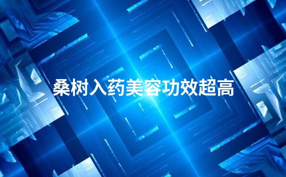 桑树入药美容功效超高