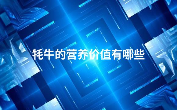 牦牛的营养价值有哪些
