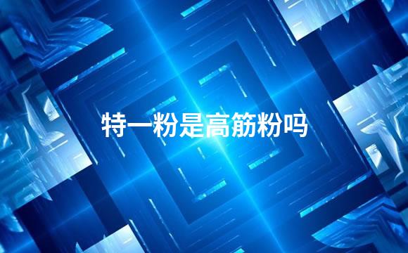 特一粉是高筋粉吗