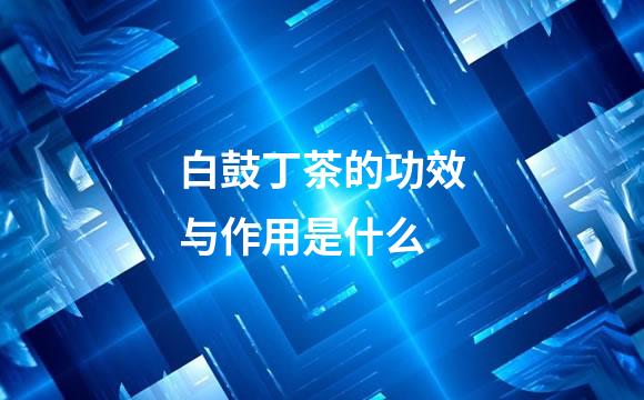白鼓丁茶的功效与作用是什么