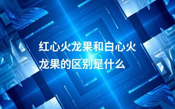 红心火龙果和白心火龙果的区别是什么