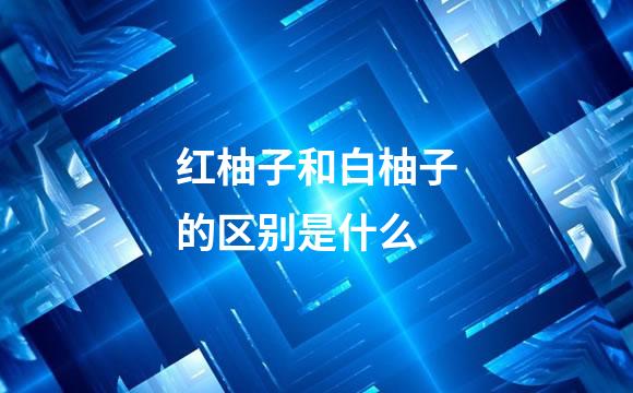 红柚子和白柚子的区别是什么