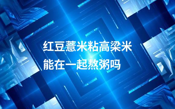 红豆薏米粘高梁米能在一起熬粥吗