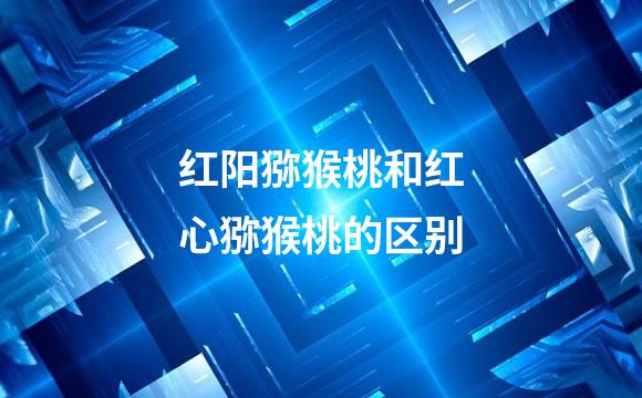红阳猕猴桃和红心猕猴桃的区别
