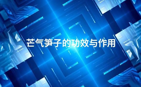 芒气笋子的功效与作用