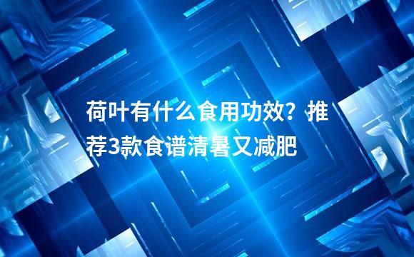 荷叶有什么食用功效？推荐3款食谱清暑又减肥