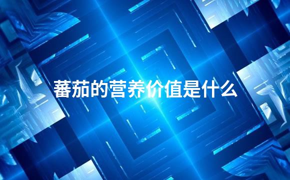 蕃茄的营养价值是什么