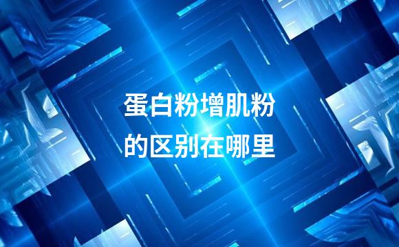 蛋白粉增肌粉的区别在哪里