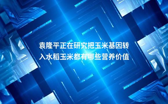 袁隆平正在研究把玉米基因转入水稻玉米都有哪些营养价值
