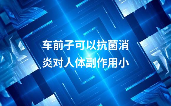 车前子可以抗菌消炎对人体副作用小