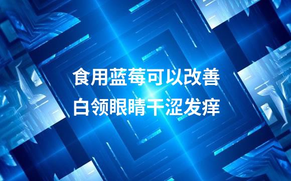 食用蓝莓可以改善白领眼睛干涩发痒