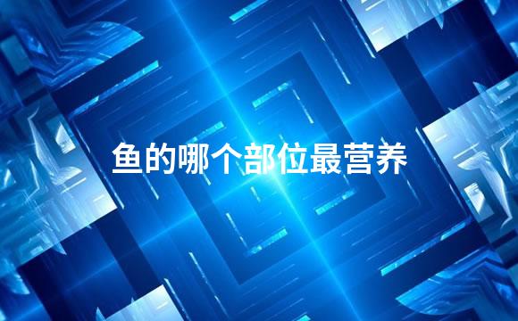 鱼的哪个部位最营养