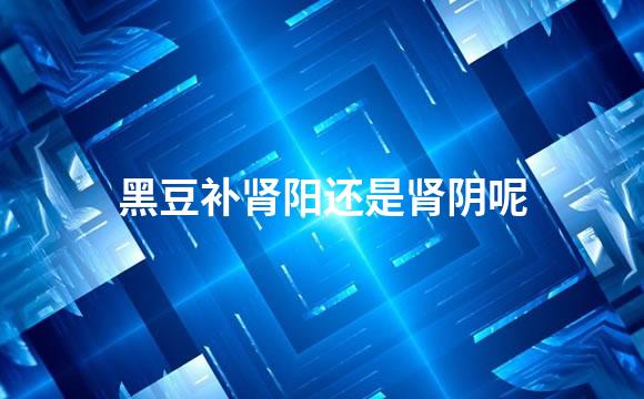 黑豆补肾阳还是肾阴呢